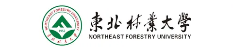 东北